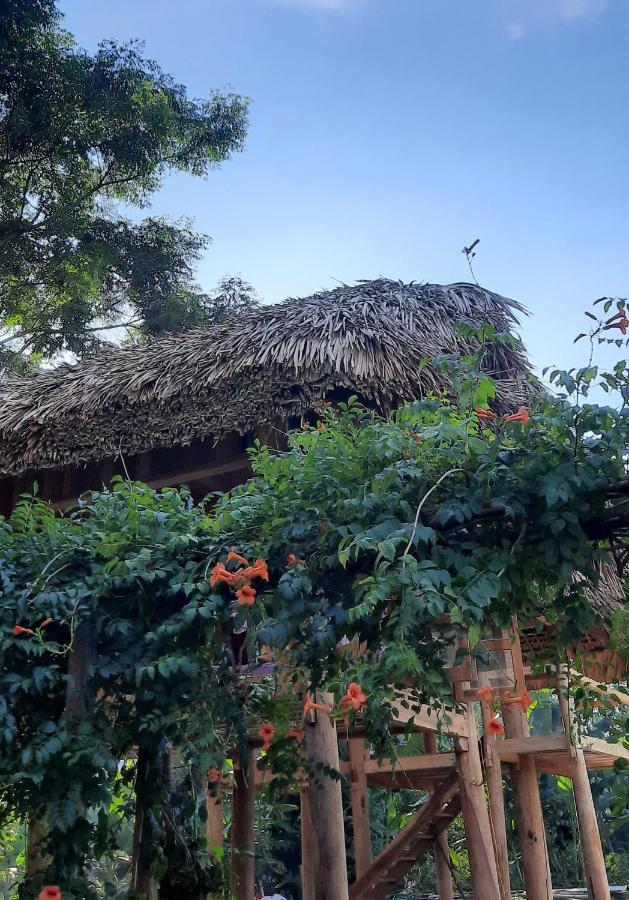 Xôi Farmstay - Eco Homestay Lục Yên Yên Bái Exterior foto