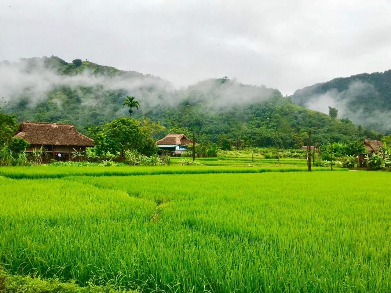 Xôi Farmstay - Eco Homestay Lục Yên Yên Bái Exterior foto