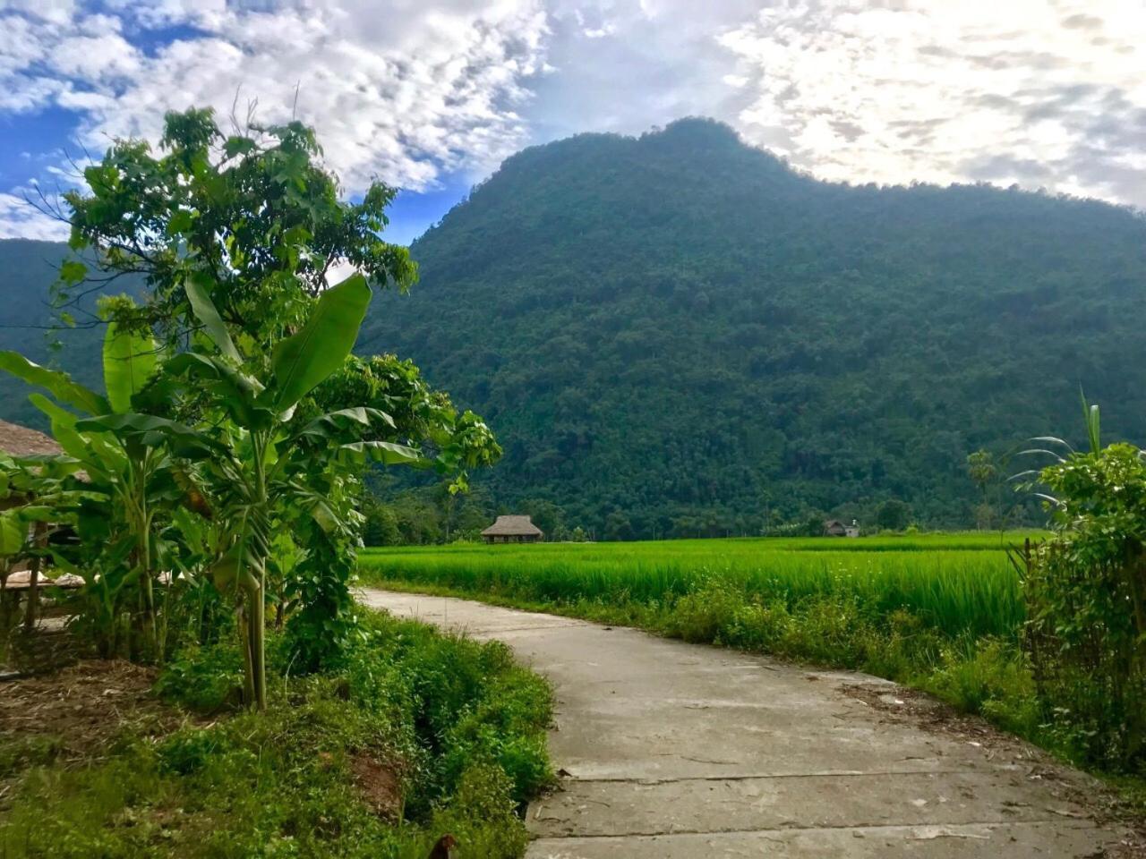 Xôi Farmstay - Eco Homestay Lục Yên Yên Bái Exterior foto