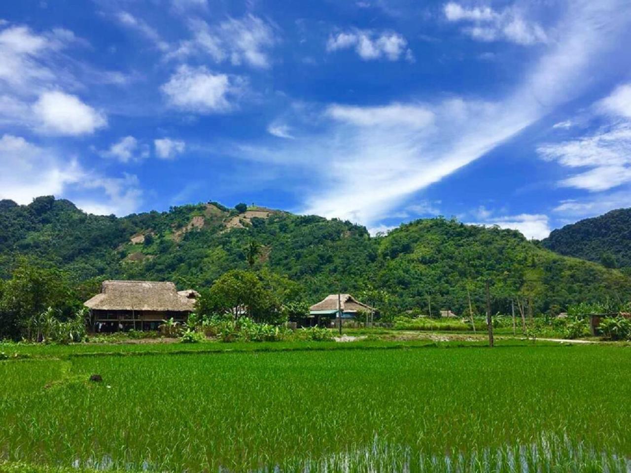 Xôi Farmstay - Eco Homestay Lục Yên Yên Bái Exterior foto